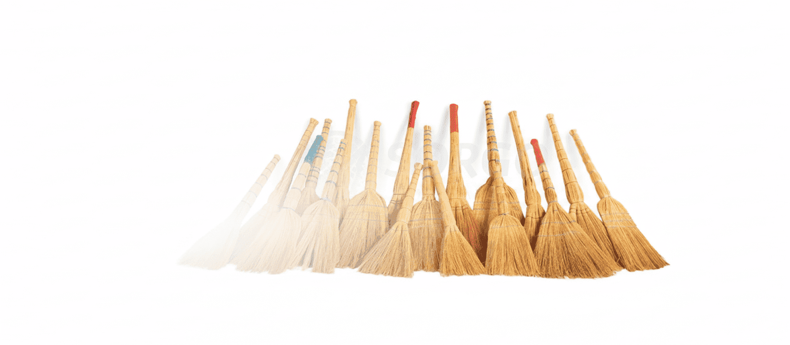 Поле сорго — фон